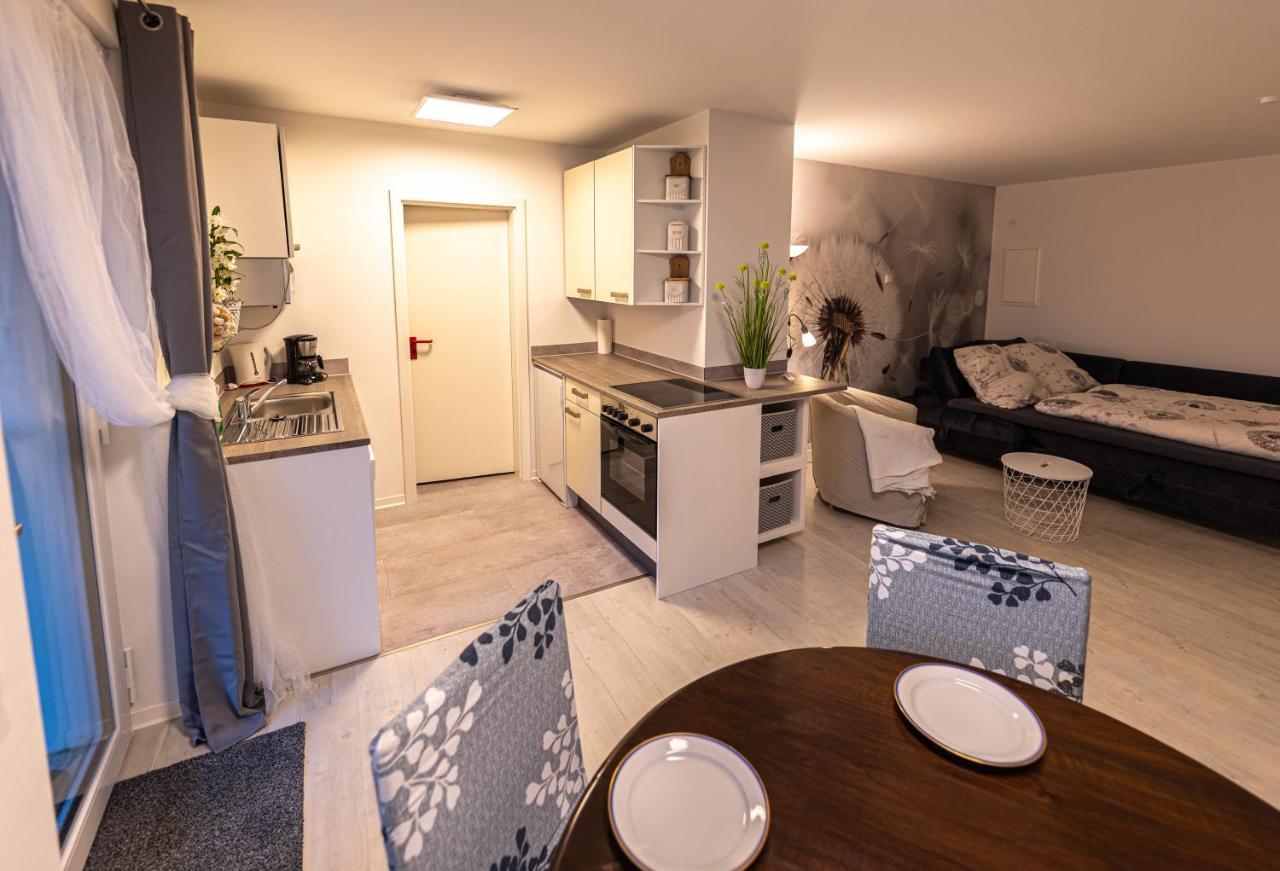 Ferienwohnung Einraum Apartment Pusteblume Eilenburg Luaran gambar